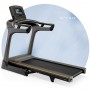 Беговая дорожка складная Matrix TF30 XER-V2 с сенсорным 10" дисплеем