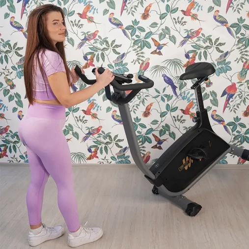 Велотренажер Hasttings Wega S300 вертикальный Велотренажер Hasttings Wega S300 вертикальный