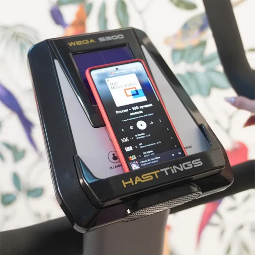 Велотренажер Hasttings Wega S300 вертикальный Велотренажер Hasttings Wega S300 вертикальный