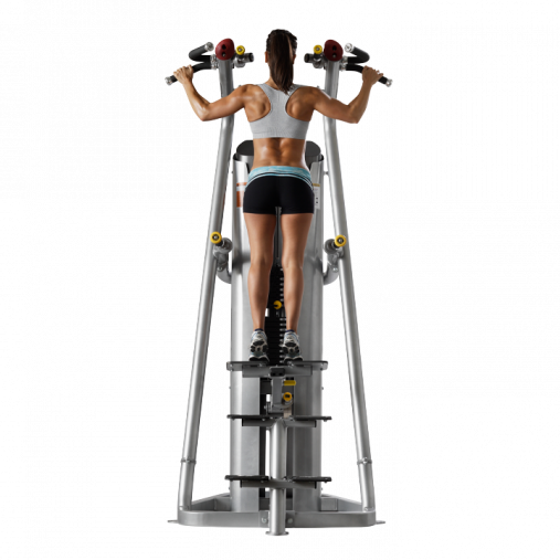 Подтягивание, отжимание с помощью, на прямых ногах. Гравитрон HOIST ROC-IT RS-1700 черный Подтягивание, отжимание с помощью, на прямых ногах. Гравитрон HOIST ROC-IT RS-1700 черный